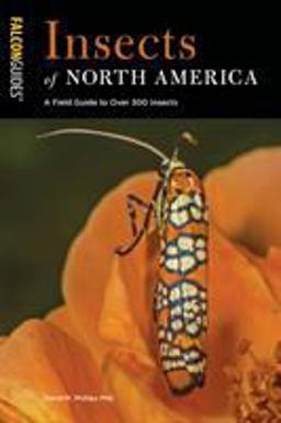 Insects of North America A Field Guide  9781493039234 Front Cover