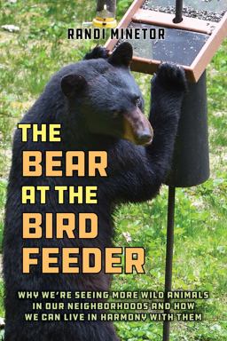 The Bear at the Bird Feeder The Bear at the Bird Feeder
