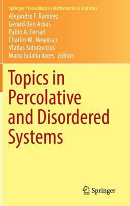 Topics in Percolative and Disordered Systems