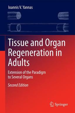 Tissue and Organ Regeneration in Adults Extension of the Paradigm to Several Organs 2nd 9781493918645 Front Cover
