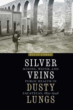 Silver Veins, Dusty Lungs Mining, Water, and Public Health in Zacatecas, 1835-1946  9781496221117 Front Cover