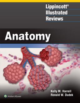 Cover art for Lippincott Illustrated Reviews: Anatomy, 1st Edition