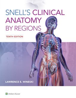Snell's Clinical Anatomy by Regions 10th 9781496345646 Front Cover