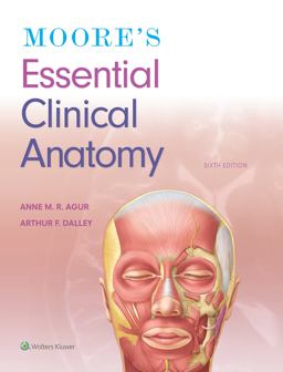 Moore's Essential Clinical Anatomy 6th 9781496369659 Front Cover