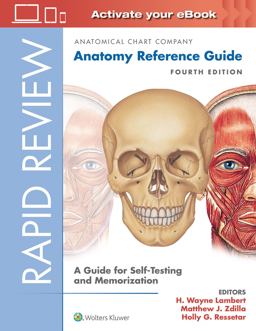 Rapid Review: Anatomy Reference Guide A Guide for Self-Testing and Memorization 4th 9781496391605 Front Cover
