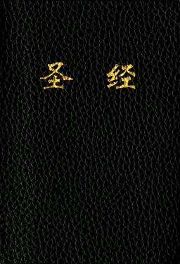Holy Bible Chinese