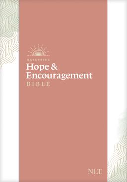NLT DaySpring Hope and Encouragement Bible NLT DaySpring Hope and Encouragement Bible