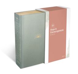 NLT DaySpring Hope and Encouragement Bible (Hardcover Deluxe, Seafoam Green) NLT DaySpring Hope and Encouragement Bible (Hardcover Deluxe, Seafoam Green)
