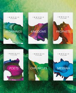 Immerse Bible Complete Set (Softcover) Immerse Bible Complete Set (Softcover)