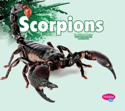 Scorpions