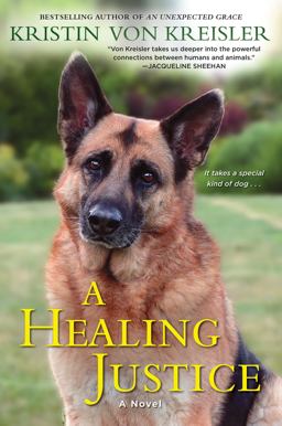 Healing Justice  9781496700452 Front Cover