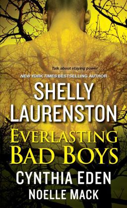 Everlasting Bad Bpys  9781496706140 Front Cover