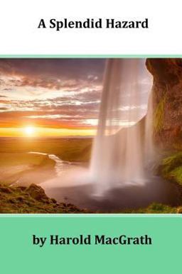 A Splendid Hazard