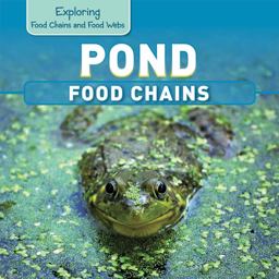 Pond Food Chains