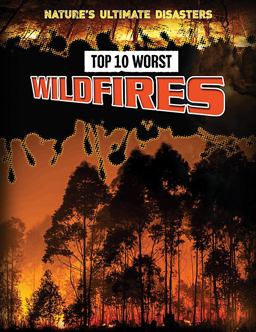 Top 10 Worst Wildfires
