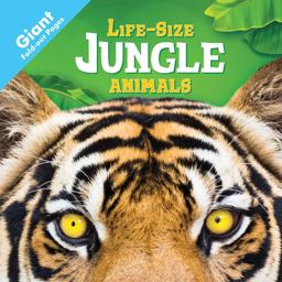 Jungle Animals