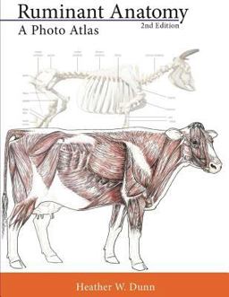 Ruminant Anatomy: a Photo Atlas  9781500767600 Front Cover