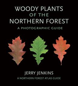 Woody Plants of the Northern Forest A Photographic Guide  9781501719684 Front Cover