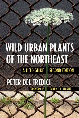 Wild Urban Plants of the Northeast: A Field Guide  9781501740442 Front Cover