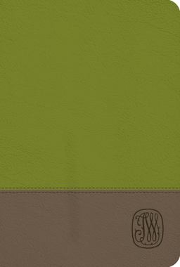 NRSV Wesley Study Bible