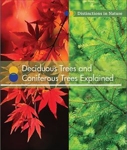 Deciduous Trees and Coniferous Trees Explained Deciduous Trees and Coniferous Trees Explained