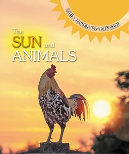 The Sun and Animals