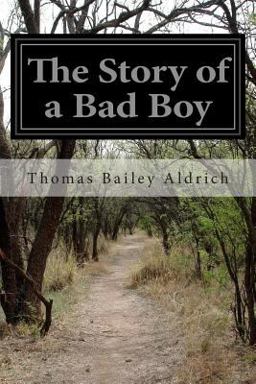 The Story of a Bad Boy
