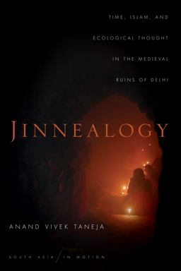 Jinnealogy Time, Islam, and Ecological Thought in the Medieval Ruins of Delhi  9781503603936 Front Cover