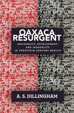 Oaxaca Resurgent Indigeneity, Development, and Inequality in Twentieth-Century Mexico  9781503627840 Front Cover