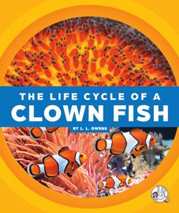 The Life Cycle of a Clown Fish The Life Cycle of a Clown Fish