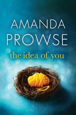Idea of You  9781503942332 Front Cover