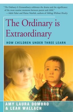 The Ordinary Is Extraordinary