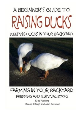 A Beginner's Guide to Keeping Ducks - Keeping Ducks in Your Backyard