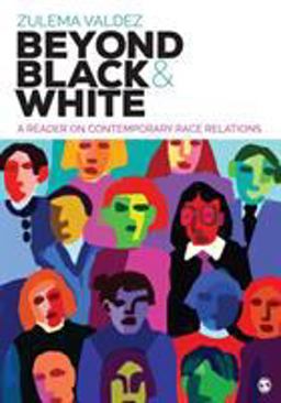 Beyond Black &amp; White A Reader on Contemporary Race Relations  9781506306940 Front Cover