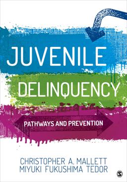 Juvenile Delinquency Pathways and Prevention  9781506361024 Front Cover