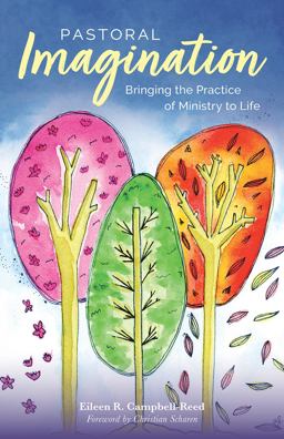 Pastoral Imagination: Bringing the Practice of Ministry to Life  9781506470061 Front Cover