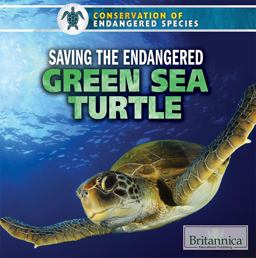 Saving the Endangered Green Sea Turtle