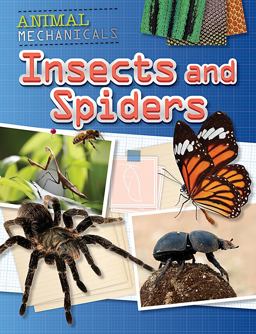 Insects and Spiders