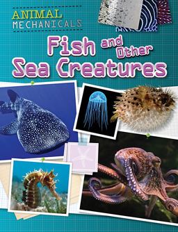 Fish and Other Sea Creatures