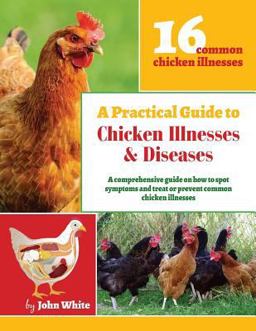 A Practical Guide to Chicken Illnesses and Diseases