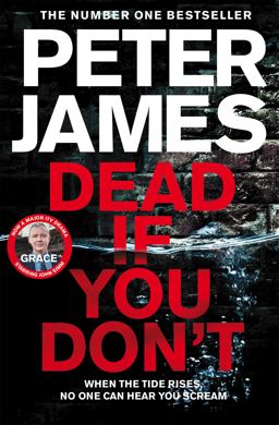 Dead If You Don't: a Roy Grace Novel 14