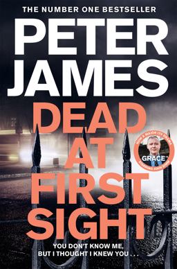 Dead at First Sight: a Roy Grace Novel 15