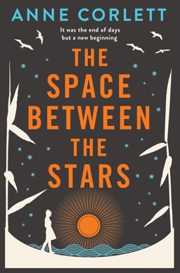 Space Between the Stars  9781509833559 Front Cover