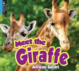 Meet the Giraffe