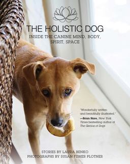 Holistic Dog Inside the Canine Mind, Body, Spirit, Space  9781510718340 Front Cover