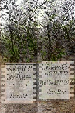 In Search of Lost Time 2