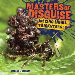 Masters of Disguise: Amazing Animal Tricksters  9781512400878 Front Cover