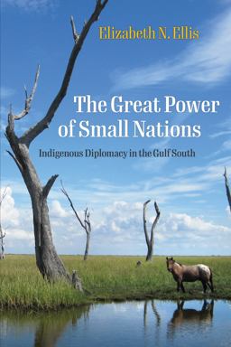 Great Power of Small Nations Indigenous Diplomacy in the Gulf South  9781512823097 Front Cover