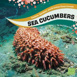 Sea Cucumbers Sea Cucumbers
