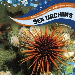 Sea Urchins Sea Urchins